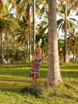 裸模Helen在椰子树林里的诱惑美体1